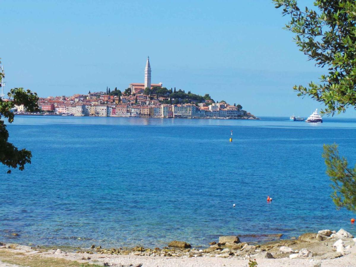 Apartment In Rovinj/Istrien 11735 Экстерьер фото