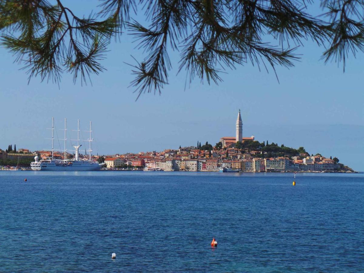 Apartment In Rovinj/Istrien 11735 Экстерьер фото